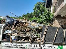 Best Estate Cleanout  in Somerdale, NJ